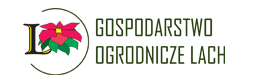 Gospodarstwo Ogrodnicze Lach | Szklarnia oraz szk&oacute;łka